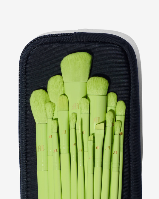 16 Piece Makeup Brush Set & Brush Pouch
