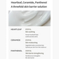 Heartleaf 70% Intense Calming Cream 50ml